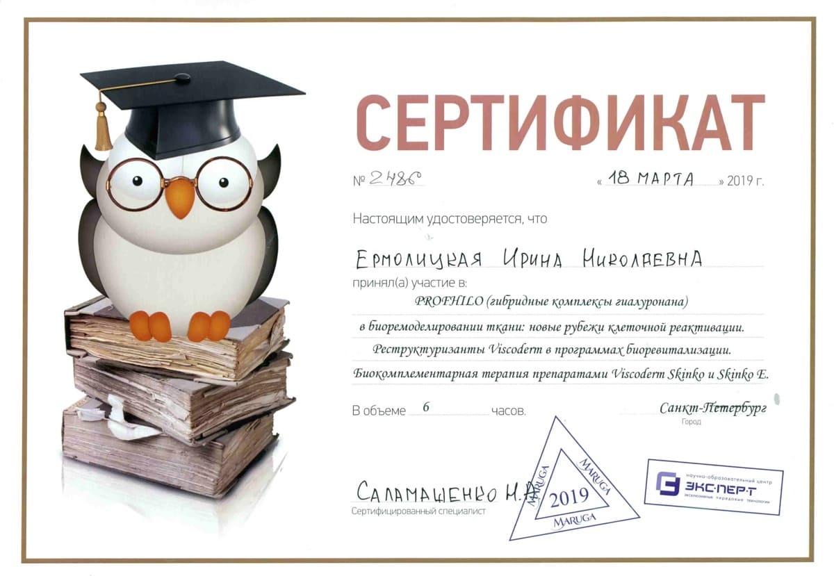 Диплом или сертификат Ирина Николаевна Ермолицкая — документ 4 из 13